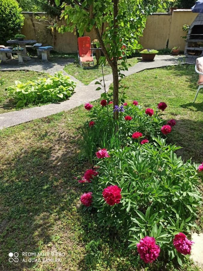 Apartamento Cocic Garden Osijek Exterior foto